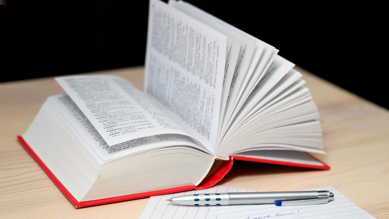 Couverture de Dictionnaire du Teasio Club