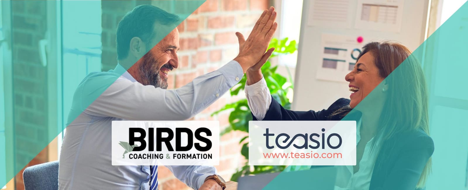 Transformation digitale ressources humaines : BIRDS Coaching allie relation humaine et gestion efficace